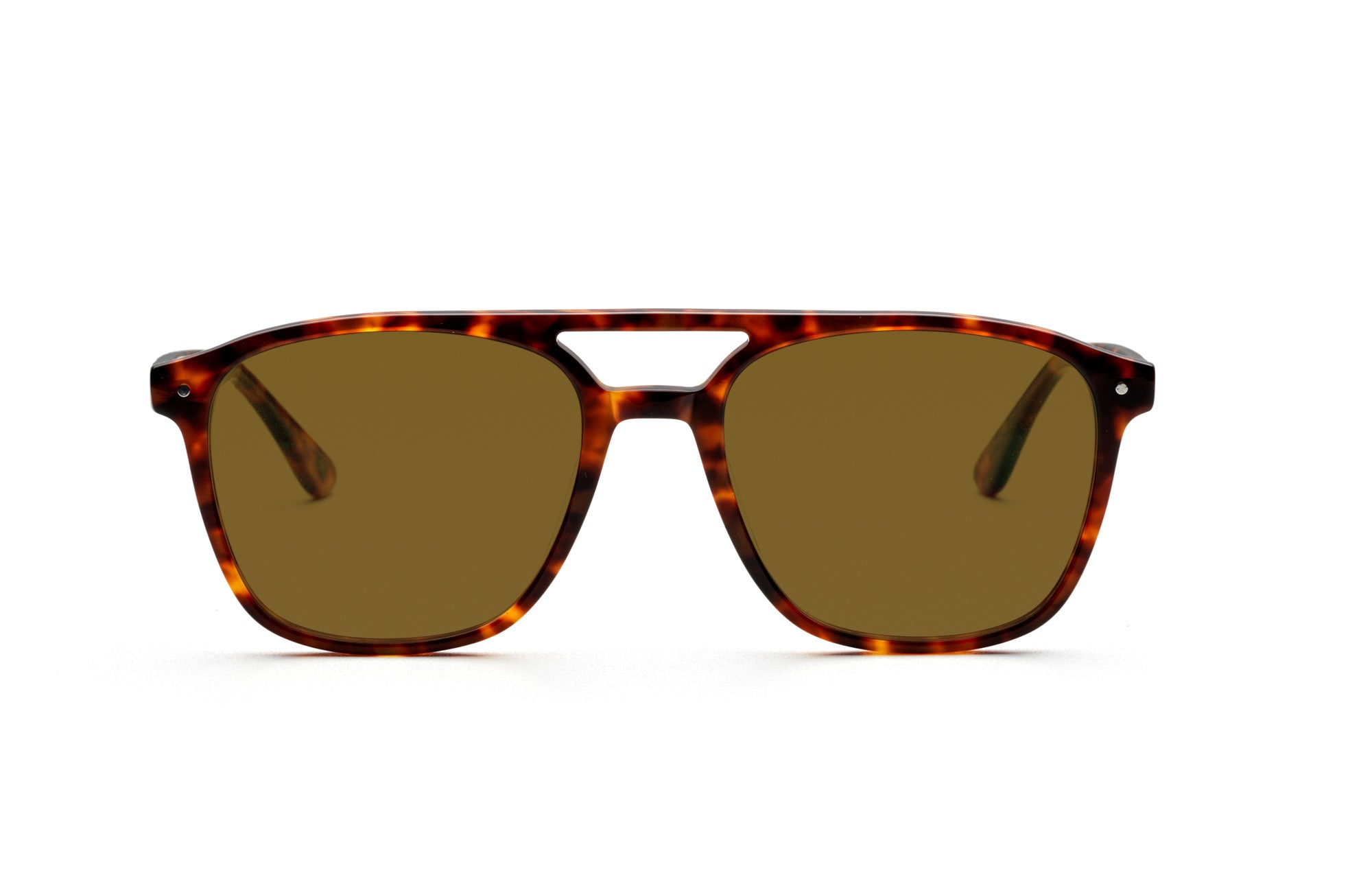 Red Tortoise Shell / Brown / Polarised